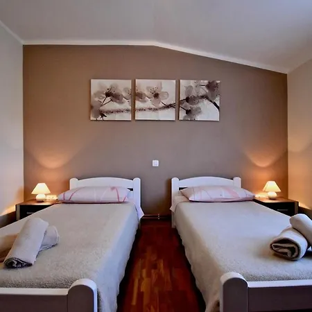 Apartment Spacious With Private Pool Vodnjan